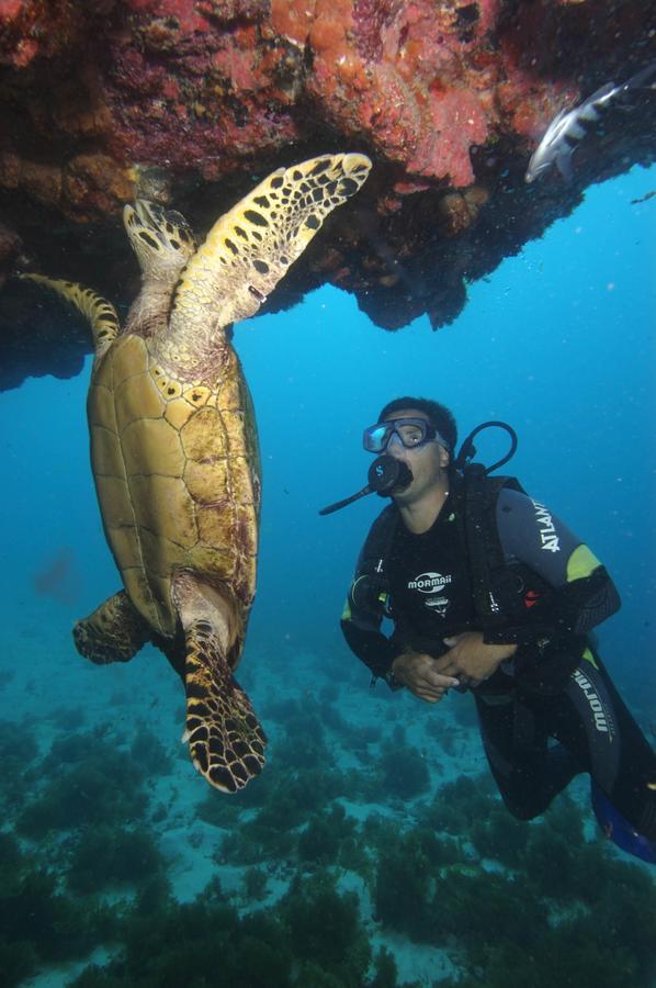 Pousada Boldro Home Fernando de Noronha Eksteriør bilde
