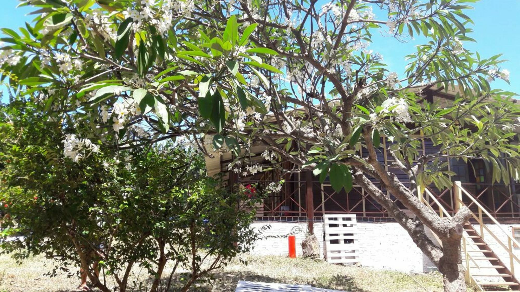 Pousada Boldro Home Fernando de Noronha Eksteriør bilde
