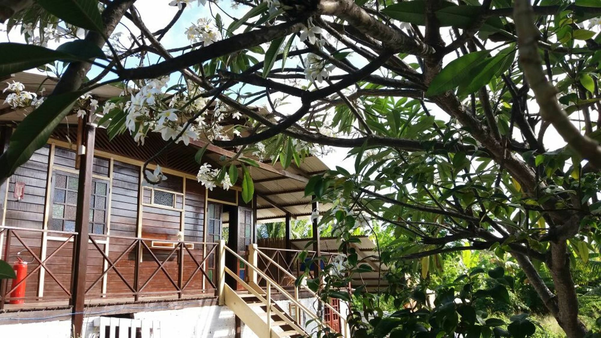 Pousada Boldro Home Fernando de Noronha Eksteriør bilde